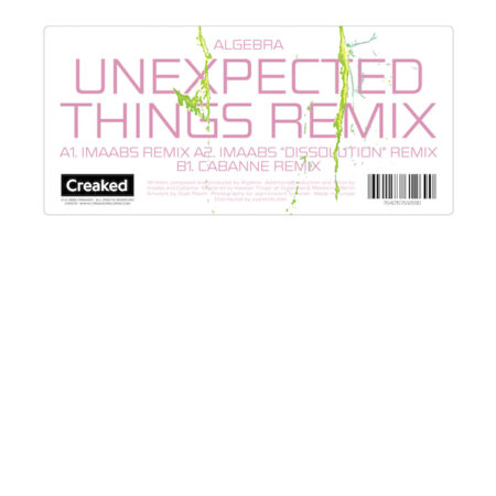 Unexpected Things Remix